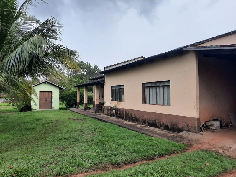Fazenda à venda para SOJA e GADO, em Dueré-TO, com 270 alq. (1.306 HA): 25ª foto da galeria de imagens do imóvel