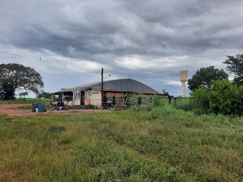Fazenda à venda para SOJA e GADO, em Dueré-TO, com 270 alq. (1.306 HA): 23ª foto da galeria de imagens do imóvel