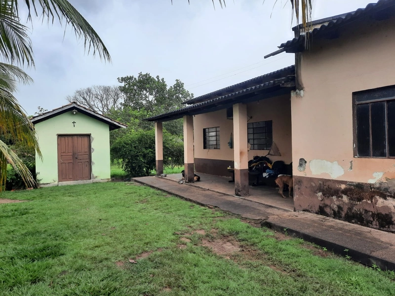 Fazenda à venda para SOJA e GADO, em Dueré-TO, com 270 alq. (1.306 HA): 26ª foto da galeria de imagens do imóvel
