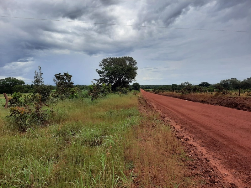 Fazenda à venda para SOJA e GADO, em Dueré-TO, com 270 alq. (1.306 HA): 10ª foto da galeria de imagens do imóvel