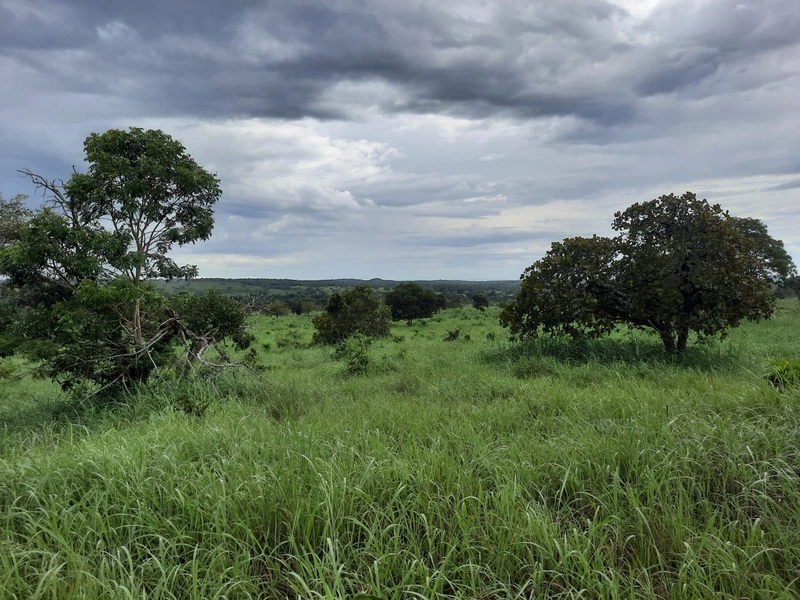 Fazenda à venda para SOJA e GADO, em Dueré-TO, com 270 alq. (1.306 HA): 1ª foto da galeria de imagens do imóvel