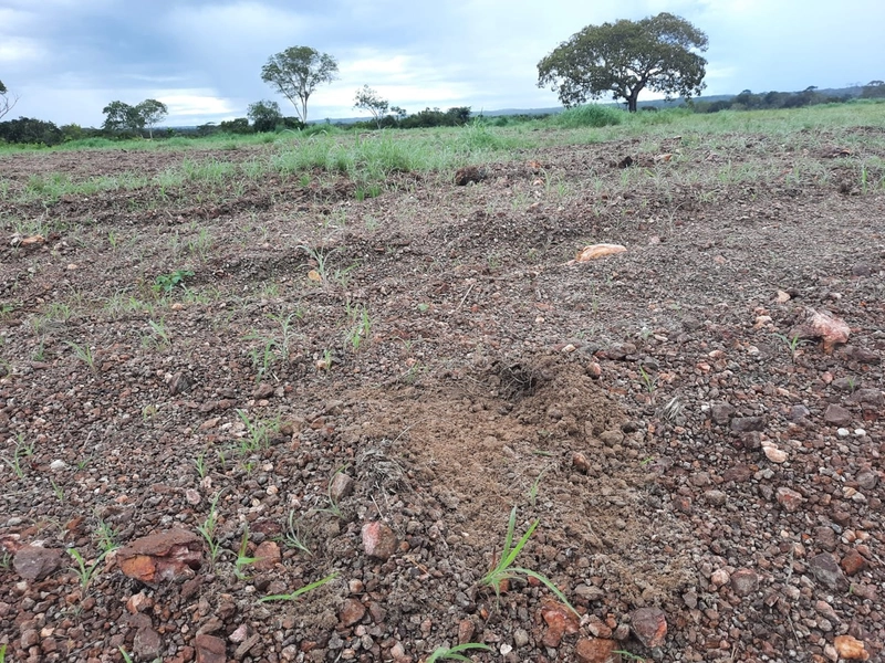 Fazenda à venda para SOJA e GADO, em Dueré-TO, com 270 alq. (1.306 HA): 13ª foto da galeria de imagens do imóvel