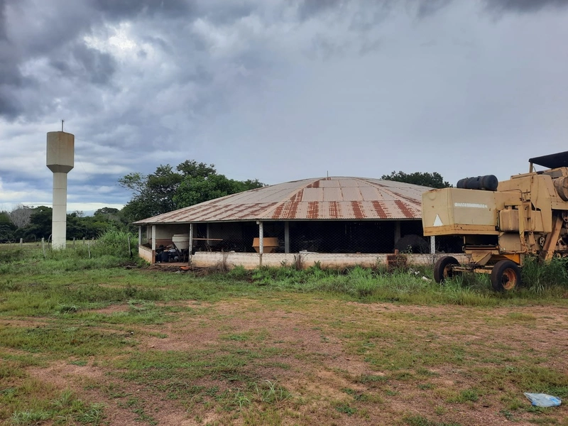 Fazenda à venda para SOJA e GADO, em Dueré-TO, com 270 alq. (1.306 HA): 21ª foto da galeria de imagens do imóvel