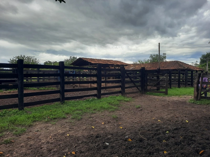 Fazenda à venda para SOJA e GADO, em Dueré-TO, com 270 alq. (1.306 HA): 22ª foto da galeria de imagens do imóvel
