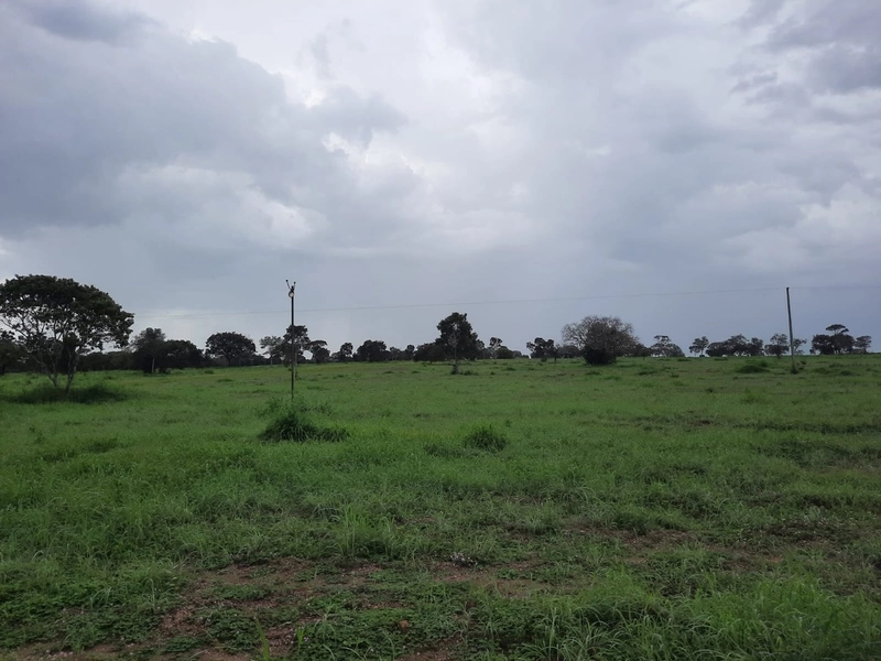 Fazenda à venda para SOJA e GADO, em Dueré-TO, com 270 alq. (1.306 HA): 17ª foto da galeria de imagens do imóvel