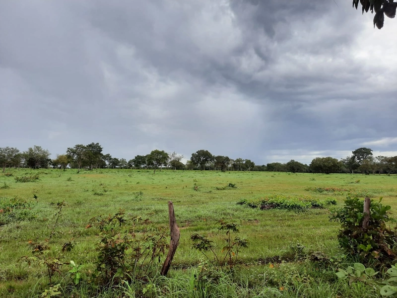 Fazenda à venda para SOJA e GADO, em Dueré-TO, com 270 alq. (1.306 HA): 8ª foto da galeria de imagens do imóvel