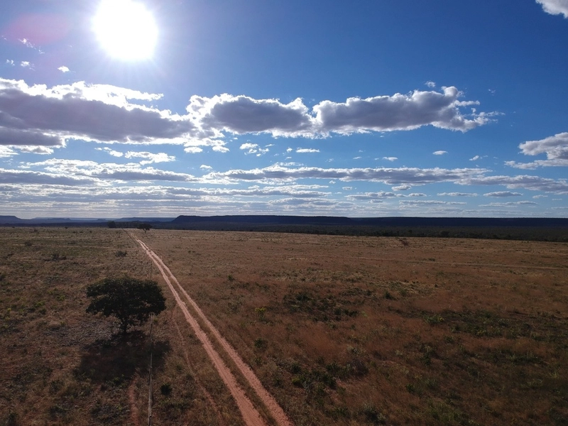 FAZENDA Á VENDA NO MUNICÍPIO DE MAMBAÍ-GO - Área para AGRICULTURA: 5ª foto da galeria de imagens do imóvel