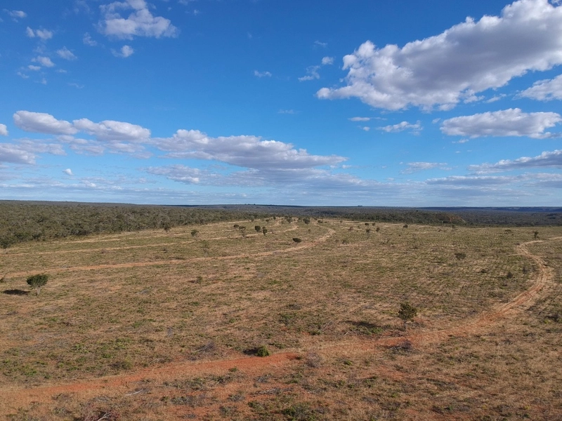 FAZENDA Á VENDA NO MUNICÍPIO DE MAMBAÍ-GO - Área para AGRICULTURA: 6ª foto da galeria de imagens do imóvel