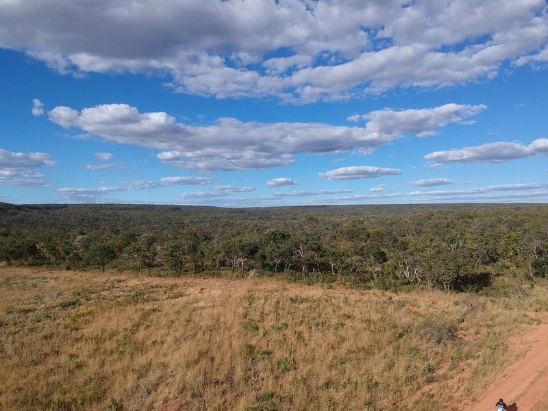 FAZENDA Á VENDA NO MUNICÍPIO DE MAMBAÍ-GO - Área para AGRICULTURA: 4ª foto da galeria de imagens do imóvel