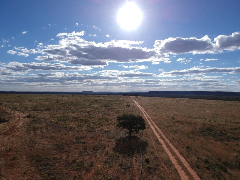 FAZENDA Á VENDA NO MUNICÍPIO DE MAMBAÍ-GO - Área para AGRICULTURA: 3ª foto da galeria de imagens do imóvel