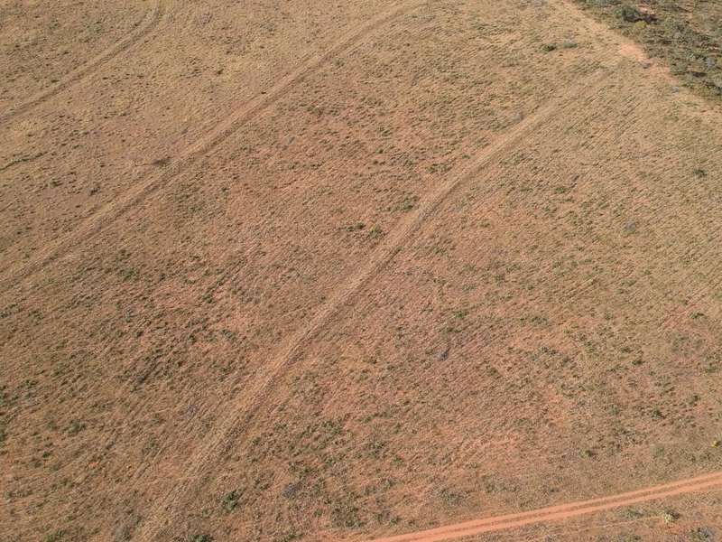 FAZENDA Á VENDA NO MUNICÍPIO DE MAMBAÍ-GO - Área para AGRICULTURA: 7ª foto da galeria de imagens do imóvel