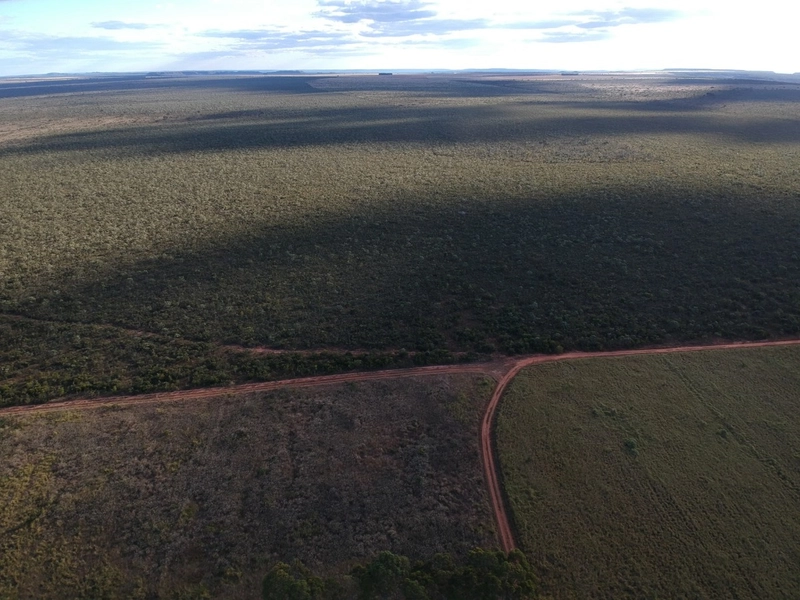 FAZENDA Á VENDA NO MUNICÍPIO DE MAMBAÍ-GO - Área para AGRICULTURA: 10ª foto da galeria de imagens do imóvel