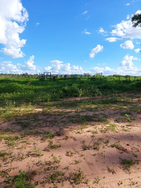 FAZENDA Á VENDA NO MUNICÍPIO DE MAMBAÍ-GO - Área para AGRICULTURA: 12ª foto da galeria de imagens do imóvel