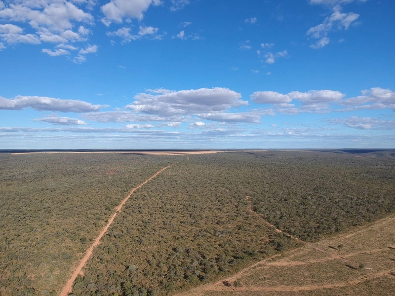 FAZENDA Á VENDA NO MUNICÍPIO DE MAMBAÍ-GO - Área para AGRICULTURA: 8ª foto da galeria de imagens do imóvel