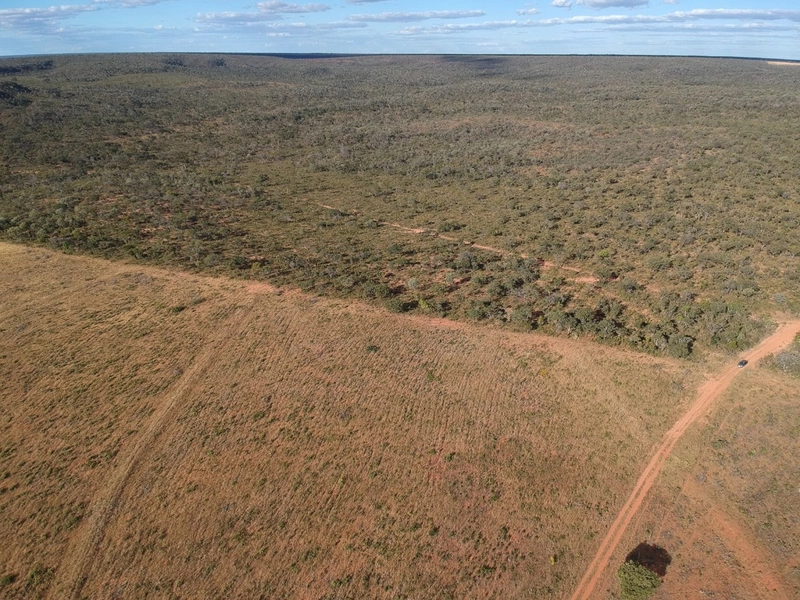 FAZENDA Á VENDA NO MUNICÍPIO DE MAMBAÍ-GO - Área para AGRICULTURA: 9ª foto da galeria de imagens do imóvel