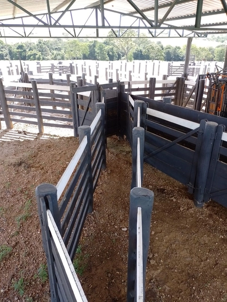 Fazenda à venda para GADO em Niquelândia- GO com 192 alq. (930 ha): 12ª foto da galeria de imagens do imóvel