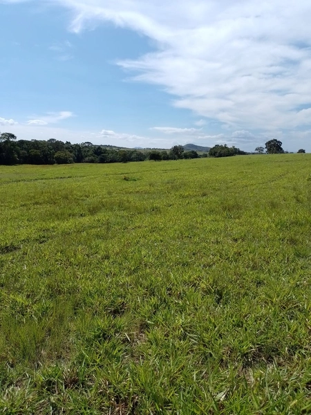 Fazenda à venda para GADO em Niquelândia- GO com 192 alq. (930 ha): 9ª foto da galeria de imagens do imóvel