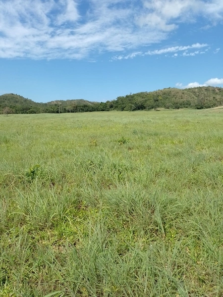Fazenda à venda para GADO em Niquelândia- GO com 192 alq. (930 ha): 14ª foto da galeria de imagens do imóvel