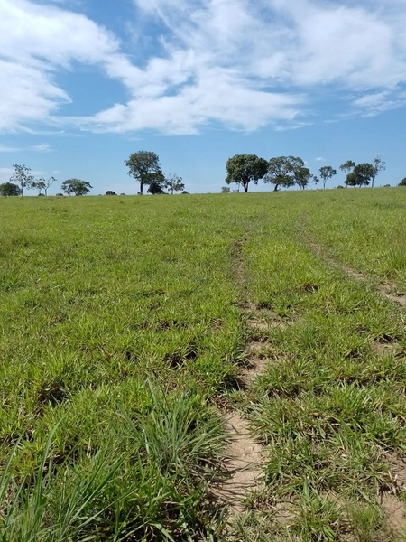 Fazenda à venda para GADO em Niquelândia- GO com 192 alq. (930 ha): 2ª foto da galeria de imagens do imóvel