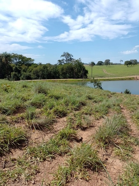 Fazenda à venda para GADO em Niquelândia- GO com 192 alq. (930 ha): 11ª foto da galeria de imagens do imóvel