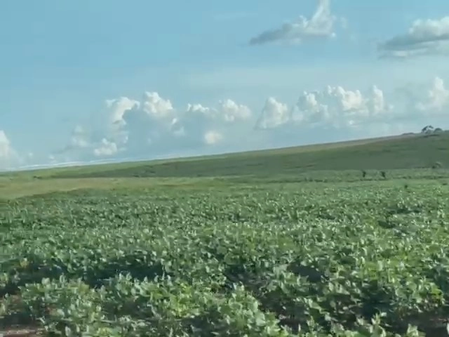 Fazenda para SOJA em Cristalina-GO, com 03 pivôs em funcionamento.: 11ª foto da galeria de imagens do imóvel