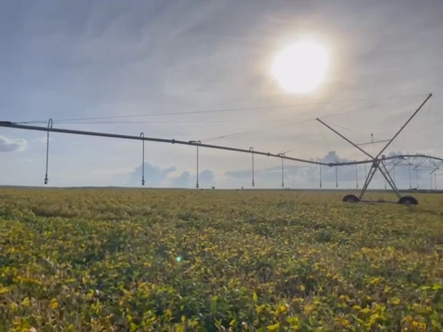 Fazenda para SOJA em Cristalina-GO, com 03 pivôs em funcionamento.: 1ª foto da galeria de imagens do imóvel