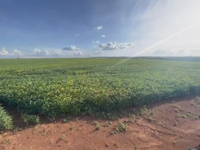 Fazenda para SOJA em Cristalina-GO, com 03 pivôs em funcionamento.: 6ª foto da galeria de imagens do imóvel