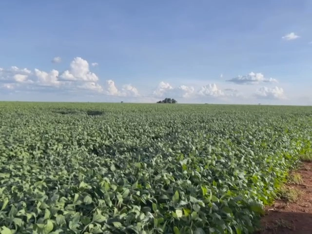 Fazenda para SOJA em Cristalina-GO, com 03 pivôs em funcionamento.: 21ª foto da galeria de imagens do imóvel