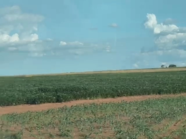 Fazenda para SOJA em Cristalina-GO, com 03 pivôs em funcionamento.: 2ª foto da galeria de imagens do imóvel