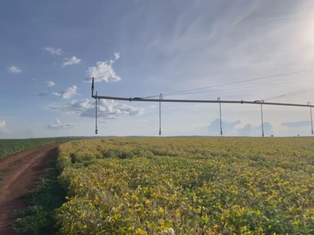 Fazenda para SOJA em Cristalina-GO, com 03 pivôs em funcionamento.: 14ª foto da galeria de imagens do imóvel