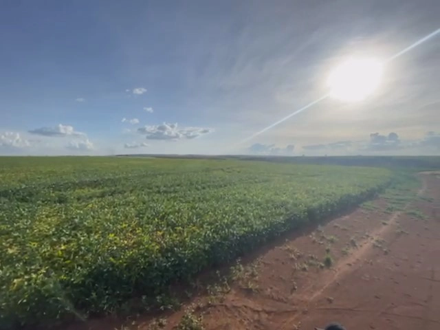 Fazenda para SOJA em Cristalina-GO, com 03 pivôs em funcionamento.: 12ª foto da galeria de imagens do imóvel