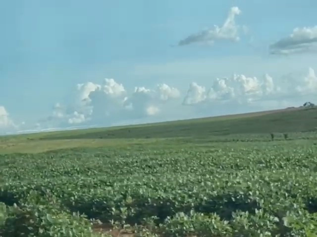 Fazenda para SOJA em Cristalina-GO, com 03 pivôs em funcionamento.: 10ª foto da galeria de imagens do imóvel