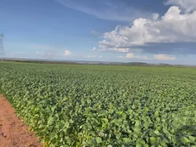 Fazenda para SOJA em Cristalina-GO, com 03 pivôs em funcionamento.: 20ª foto da galeria de imagens do imóvel