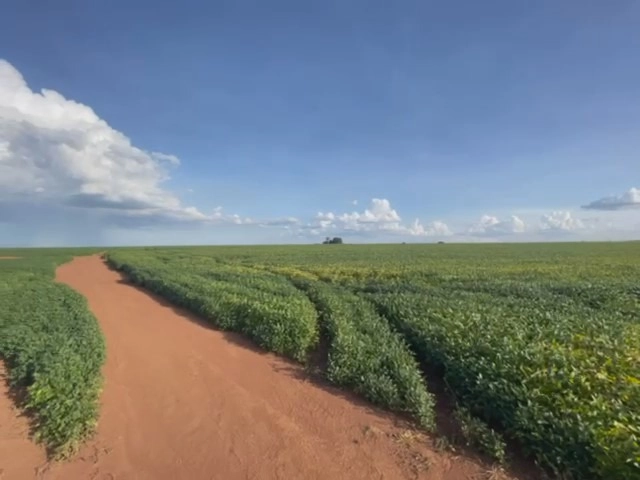 Fazenda para SOJA em Cristalina-GO, com 03 pivôs em funcionamento.: 7ª foto da galeria de imagens do imóvel