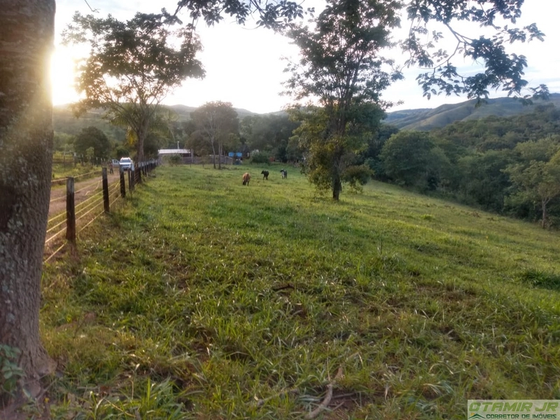 Fazenda para GADO em Goiás - A preço de RESERVA: 26ª foto da galeria de imagens do imóvel