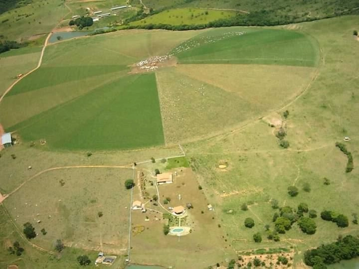 Fazenda para Soja município de Catalão-GO.: 4ª foto da galeria de imagens do imóvel