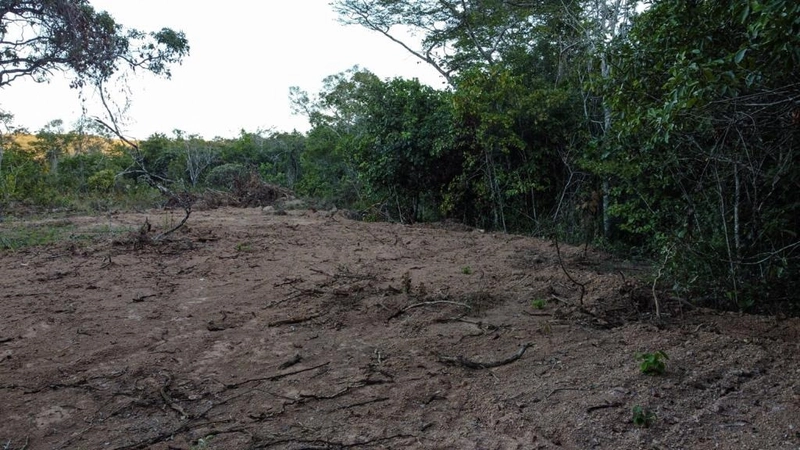 Fazenda/Área a venda, 244 ha em São João d’Aliança-GO.