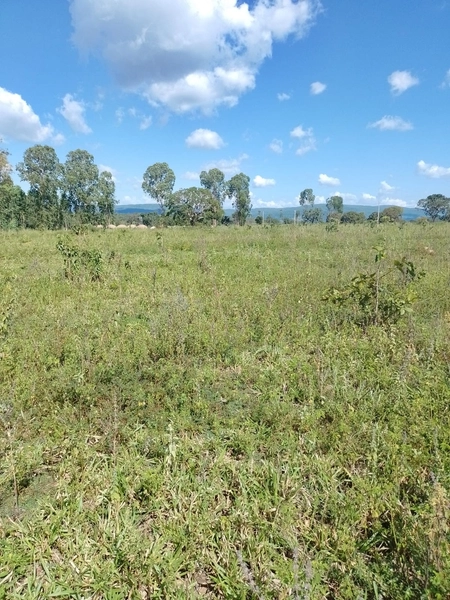 Fazenda DUPLA APTIDÂO em Niquelândia-GO. Lavoura SOJA em suas divisas: 2ª foto da galeria de imagens do imóvel