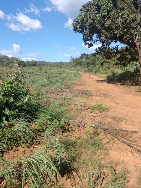 Fazenda DUPLA APTIDÂO em Niquelândia-GO. Lavoura SOJA em suas divisas: 1ª foto da galeria de imagens do imóvel