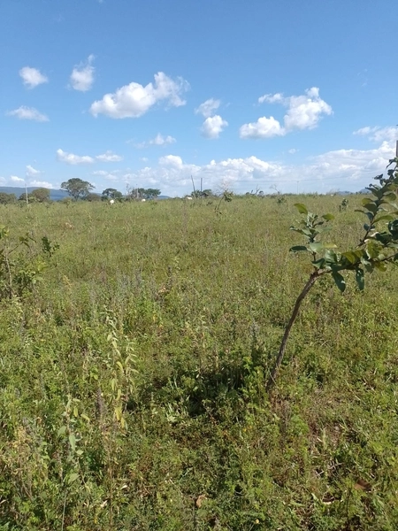Fazenda DUPLA APTIDÂO em Niquelândia-GO. Lavoura SOJA em suas divisas: 9ª foto da galeria de imagens do imóvel