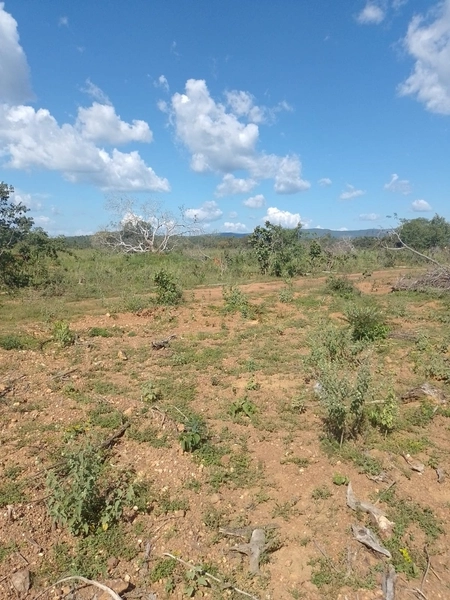 Fazenda DUPLA APTIDÂO em Niquelândia-GO. Lavoura SOJA em suas divisas: 8ª foto da galeria de imagens do imóvel