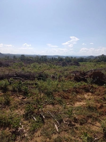 Fazenda DUPLA APTIDÂO em Niquelândia-GO. Lavoura SOJA em suas divisas: 6ª foto da galeria de imagens do imóvel