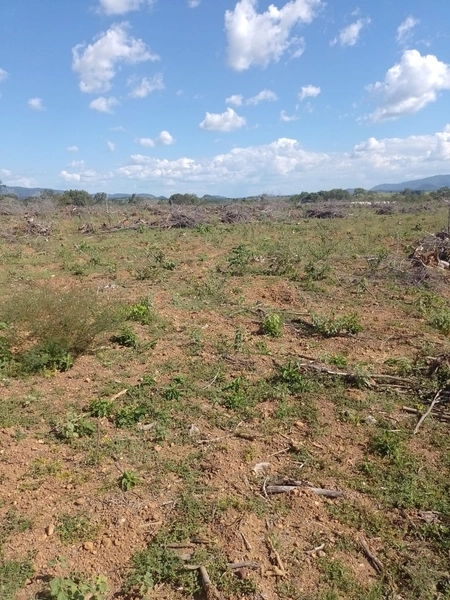 Fazenda DUPLA APTIDÂO em Niquelândia-GO. Lavoura SOJA em suas divisas: 11ª foto da galeria de imagens do imóvel