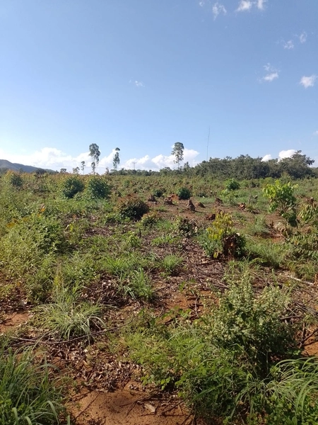 Fazenda DUPLA APTIDÂO em Niquelândia-GO. Lavoura SOJA em suas divisas: 3ª foto da galeria de imagens do imóvel
