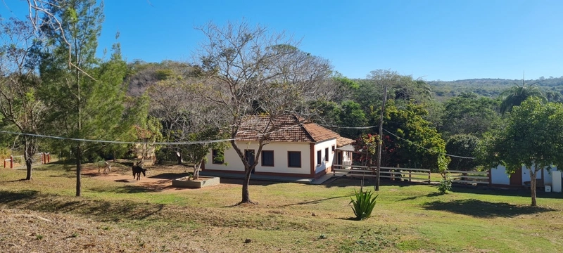 Fazenda à venda, 460 Ha, Fazenda Centenária, com 3 jazidas de calcário