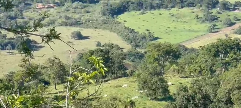 Fazenda, 432,21 Ha, em Cumari-GO Às margens da rodovia GO-402: 13ª foto da galeria de imagens do imóvel