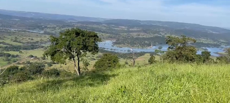 Fazenda, 432,21 Ha, em Cumari-GO Às margens da rodovia GO-402: 11ª foto da galeria de imagens do imóvel