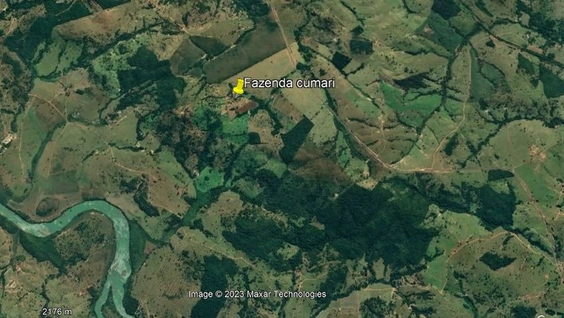 Fazenda, 432,21 Ha, em Cumari-GO Às margens da rodovia GO-402: 18ª foto da galeria de imagens do imóvel