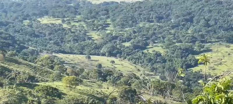 Fazenda, 432,21 Ha, em Cumari-GO Às margens da rodovia GO-402: 16ª foto da galeria de imagens do imóvel