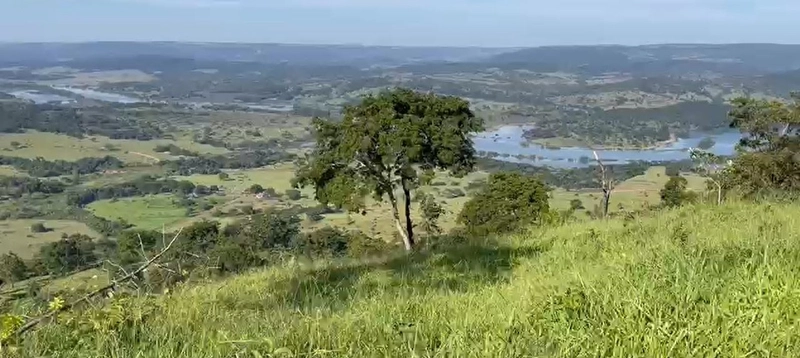 Fazenda, 432,21 Ha, em Cumari-GO Às margens da rodovia GO-402: 12ª foto da galeria de imagens do imóvel